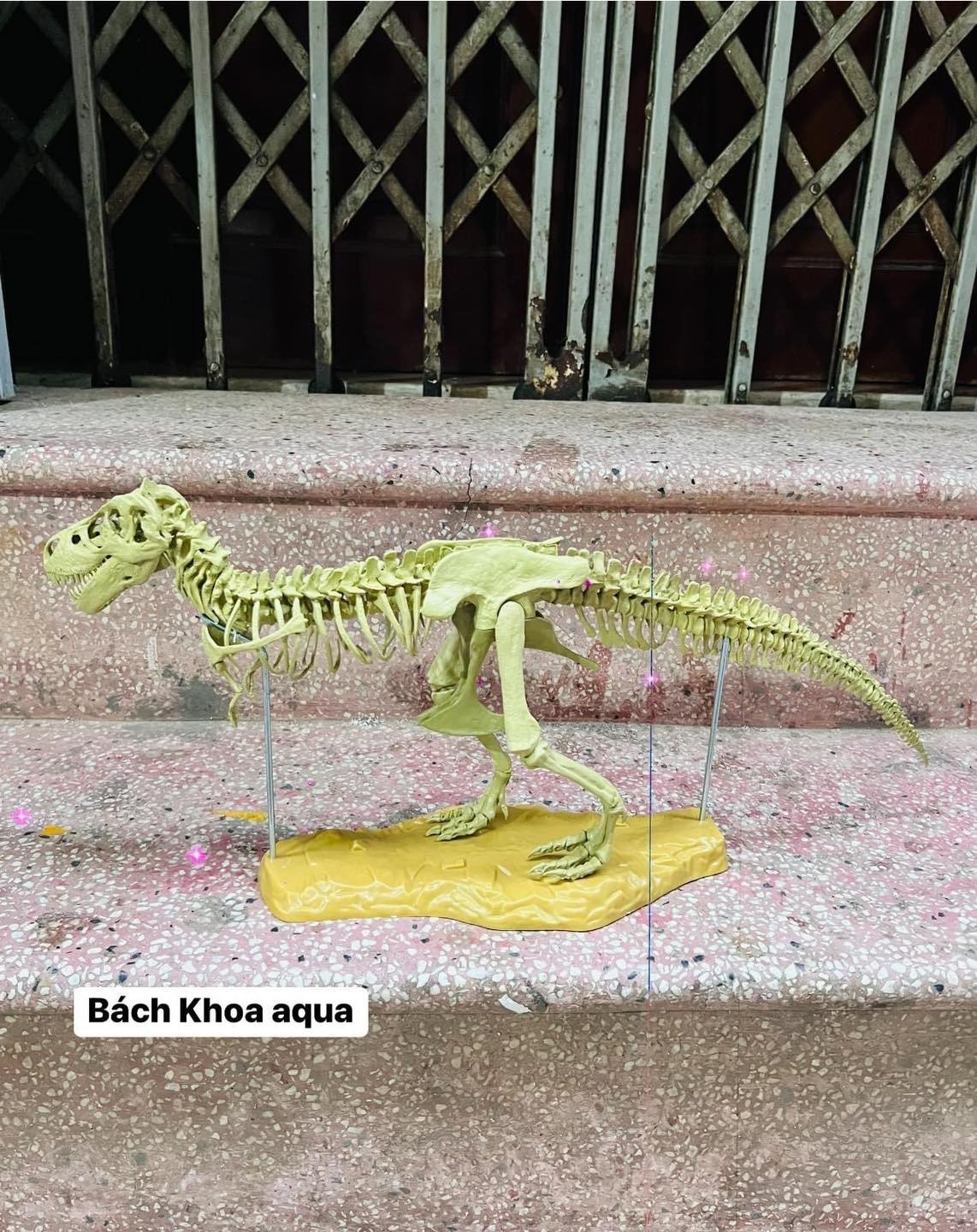 Mô hình khủng long T-Rex trang trí bể cá